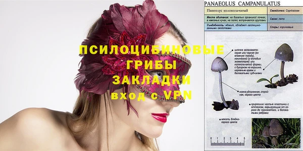 дживик Алексеевка