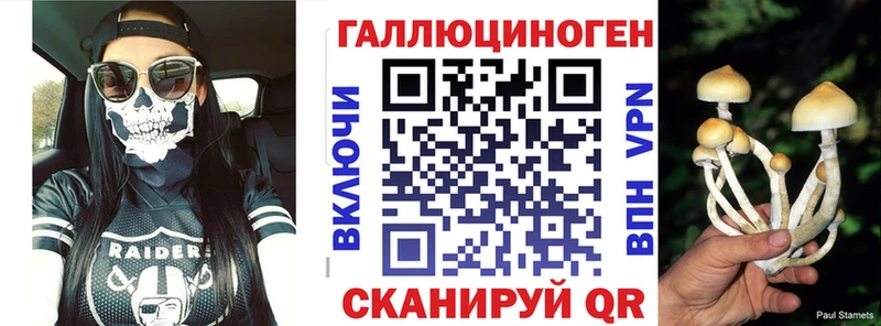 купить наркотик  Бердск  Галлюциногенные грибы Cubensis 