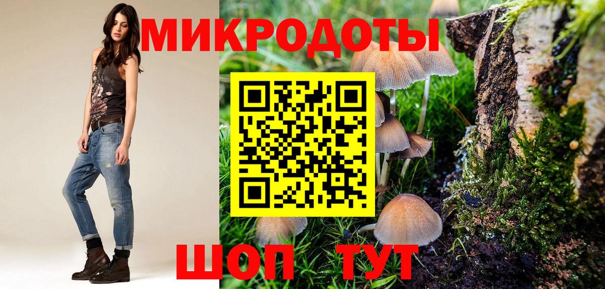 Бердск  Псилоцибиновые грибы мицелий  купить   Вход с VPN 