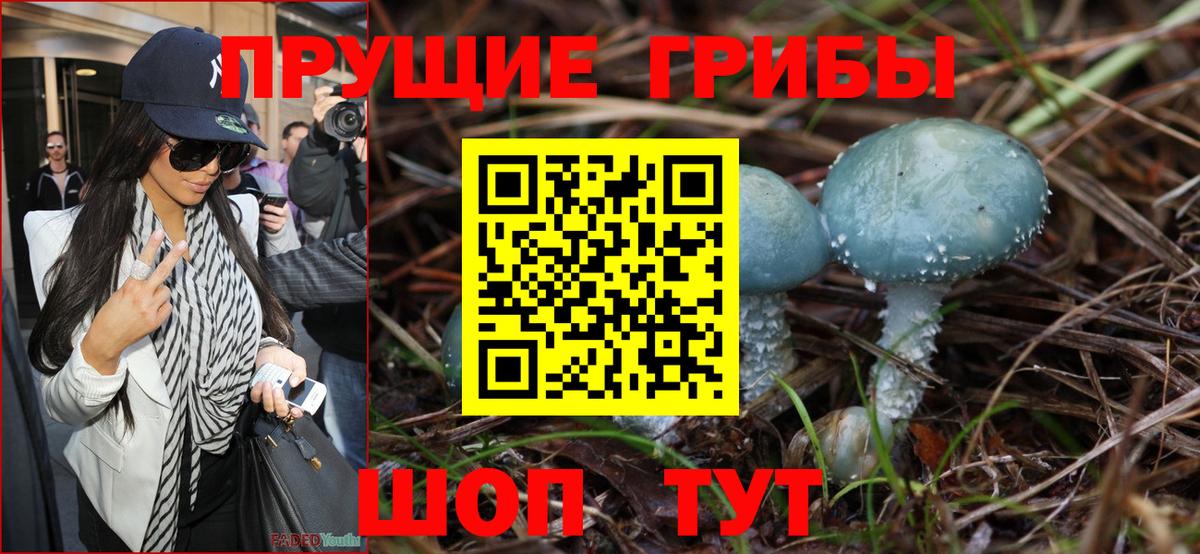Галлюциногенные грибы MAGIC MUSHROOMS Бердск