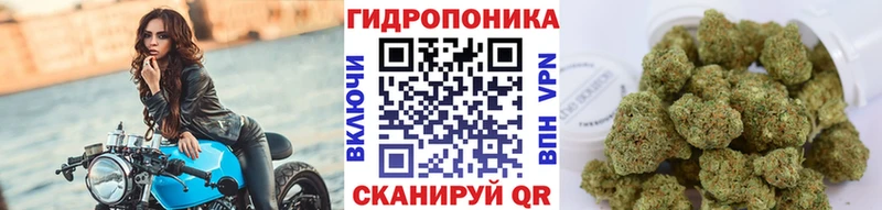 Шишки марихуана ГИДРОПОН мориарти Telegram Бердск